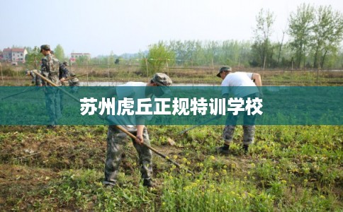 苏州虎丘正规特训学校