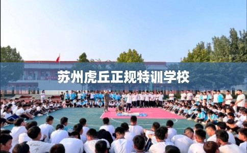苏州虎丘正规特训学校