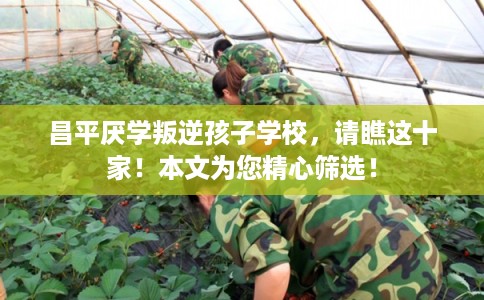 昌平厌学叛逆孩子学校，请瞧这十家！本文为您精心筛选！