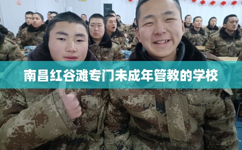 南昌红谷滩专门未成年管教的学校