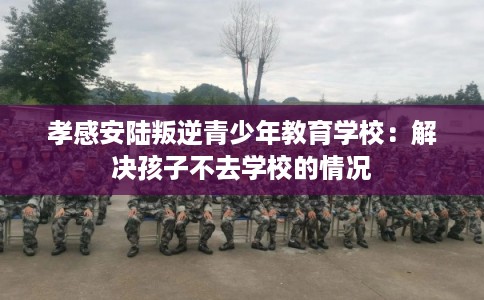 孝感安陆叛逆青少年教育学校：解决孩子不去学校的情况