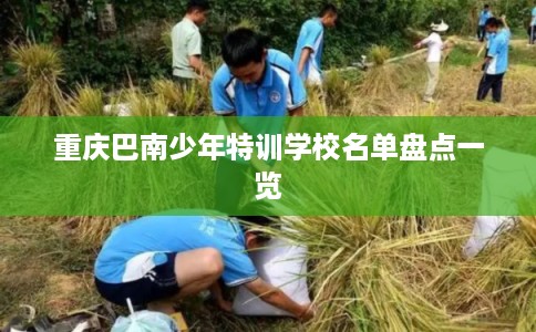 重庆巴南少年特训学校名单盘点一览 重庆巴南少年特训学校名单盘点一览