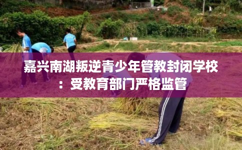 嘉兴南湖叛逆青少年管教封闭学校：受教育部门严格监管