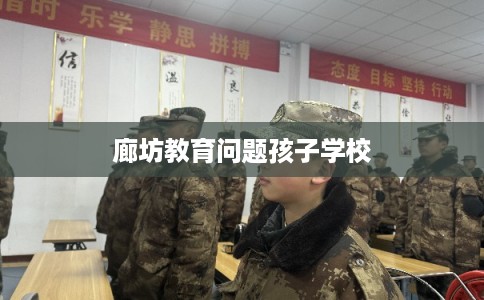 廊坊教育问题孩子学校