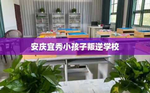 安庆宜秀小孩子叛逆学校