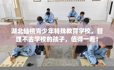 湖北仙桃青少年特殊教育学校，管理不去学校的孩子，值得一看！