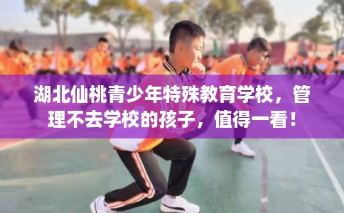 湖北仙桃青少年特殊教育学校，管理不去学校的孩子，值得一看！
