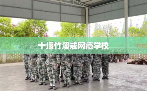 十堰竹溪戒网瘾学校 十堰竹溪戒网瘾学校