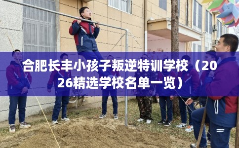 合肥长丰小孩子叛逆特训学校（2026精选学校名单一览）