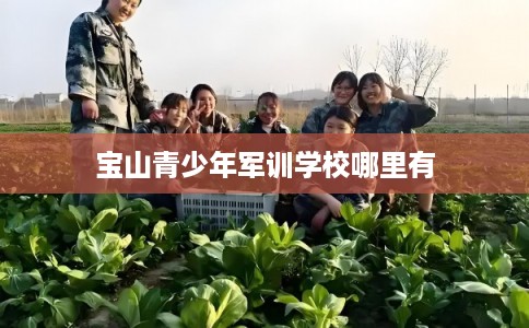 宝山青少年军训学校哪里有