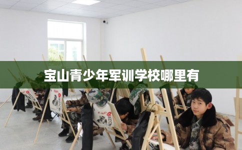 宝山青少年军训学校哪里有