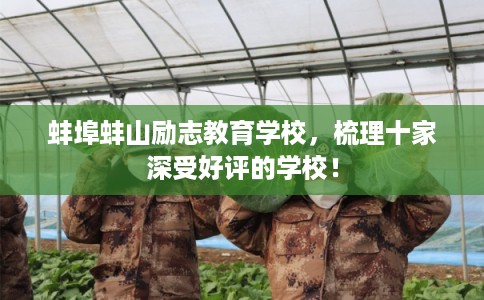 蚌埠蚌山励志教育学校，梳理十家深受好评的学校！