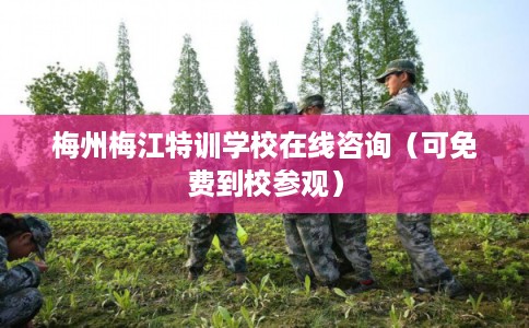 梅州梅江特训学校在线咨询（可免费到校参观）