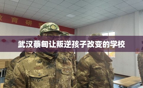 武汉蔡甸让叛逆孩子改变的学校 武汉蔡甸让叛逆孩子改变的学校