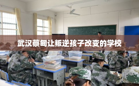 武汉蔡甸让叛逆孩子改变的学校 武汉蔡甸让叛逆孩子改变的学校