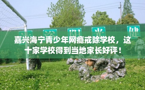 嘉兴海宁青少年网瘾戒除学校,这十家学校得到当地家长好评! 嘉兴海宁青少年网瘾戒除学校,这十家学校得到当地家长好评!