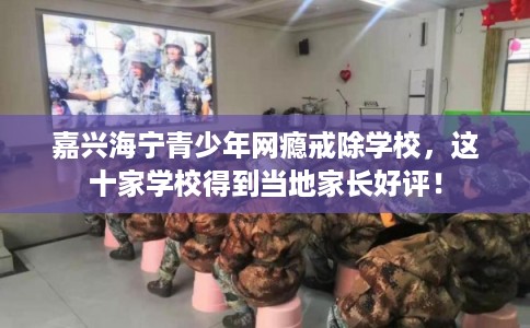 嘉兴海宁青少年网瘾戒除学校,这十家学校得到当地家长好评! 嘉兴海宁青少年网瘾戒除学校,这十家学校得到当地家长好评!
