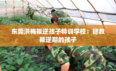 东莞洪梅叛逆孩子特训学校:拯救叛逆期的孩子 东莞洪梅叛逆孩子特训学校:拯救叛逆期的孩子