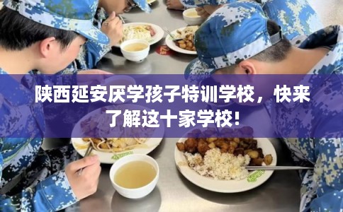 陕西延安厌学孩子特训学校，快来了解这十家学校!