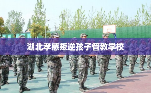 湖北孝感叛逆孩子管教学校 湖北孝感叛逆孩子管教学校