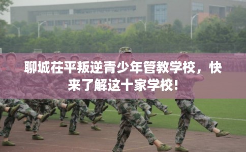 聊城茌平叛逆青少年管教学校，快来了解这十家学校!