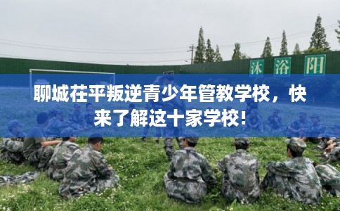 聊城茌平叛逆青少年管教学校，快来了解这十家学校!