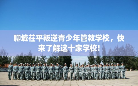 聊城茌平叛逆青少年管教学校，快来了解这十家学校!