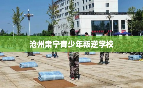 沧州肃宁青少年叛逆学校 沧州肃宁青少年叛逆学校