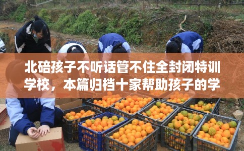 北碚孩子不听话管不住全封闭特训学校,本篇归档十家帮助孩子的学校! 北碚孩子不听话管不住全封闭特训学校,本篇归档十家帮助孩子的学校!