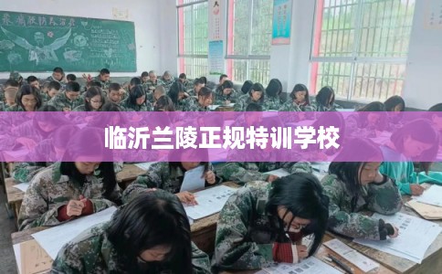 临沂兰陵正规特训学校