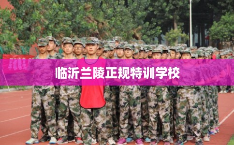 临沂兰陵正规特训学校
