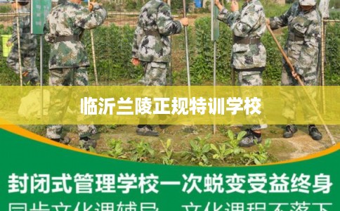临沂兰陵正规特训学校
