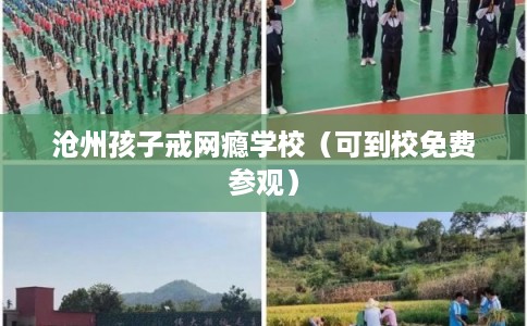 沧州孩子戒网瘾学校（可到校免费参观）