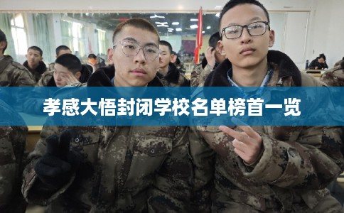 孝感大悟封闭学校名单榜首一览