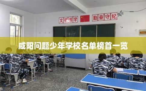 咸阳问题少年学校名单榜首一览