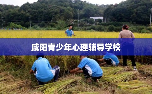 咸阳青少年心理辅导学校