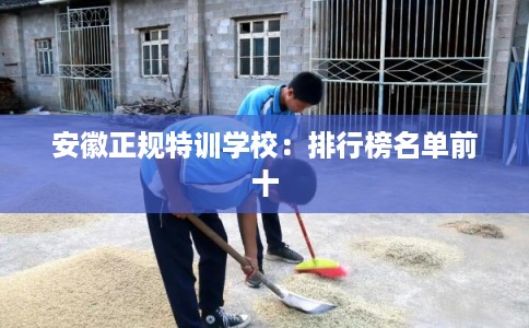 安徽正规特训学校：排行榜名单前十