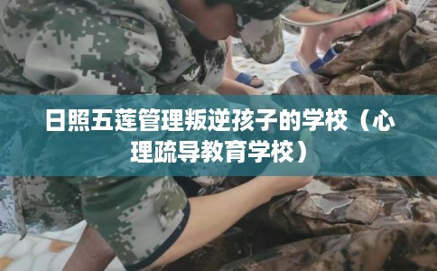 日照五莲管理叛逆孩子的学校(心理疏导教育学校) 日照五莲管理叛逆孩子的学校(心理疏导教育学校)