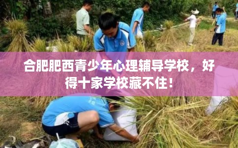 合肥肥西青少年心理辅导学校，好得十家学校藏不住！