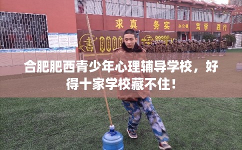 合肥肥西青少年心理辅导学校，好得十家学校藏不住！