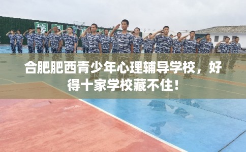 合肥肥西青少年心理辅导学校，好得十家学校藏不住！