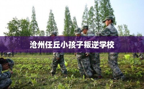 沧州任丘小孩子叛逆学校