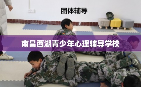 南昌西湖青少年心理辅导学校