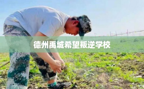 德州禹城希望叛逆学校