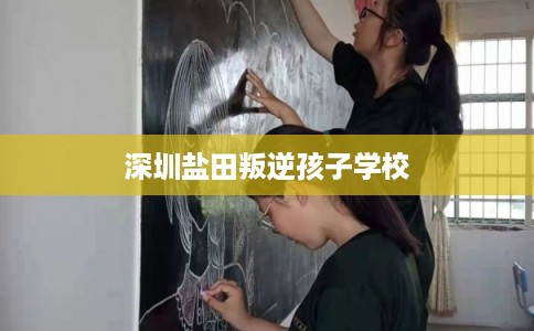 深圳盐田叛逆孩子学校 深圳盐田叛逆孩子学校
