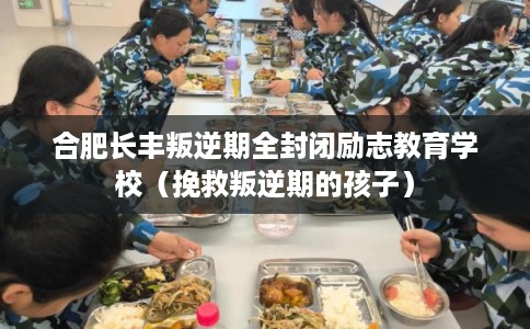 合肥长丰叛逆期全封闭励志教育学校（挽救叛逆期的孩子）