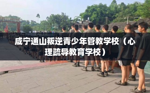 咸宁通山叛逆青少年管教学校(心理疏导教育学校) 咸宁通山叛逆青少年管教学校(心理疏导教育学校)