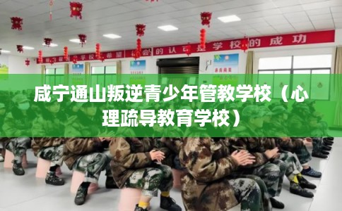 咸宁通山叛逆青少年管教学校(心理疏导教育学校) 咸宁通山叛逆青少年管教学校(心理疏导教育学校)