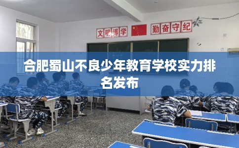 合肥蜀山不良少年教育学校实力排名发布