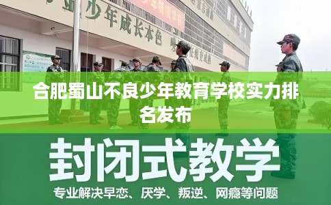 合肥蜀山不良少年教育学校实力排名发布